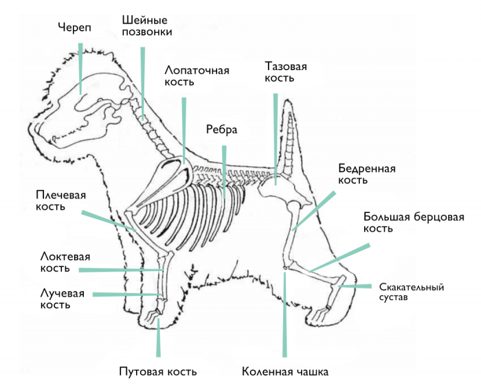 Описание стандарта