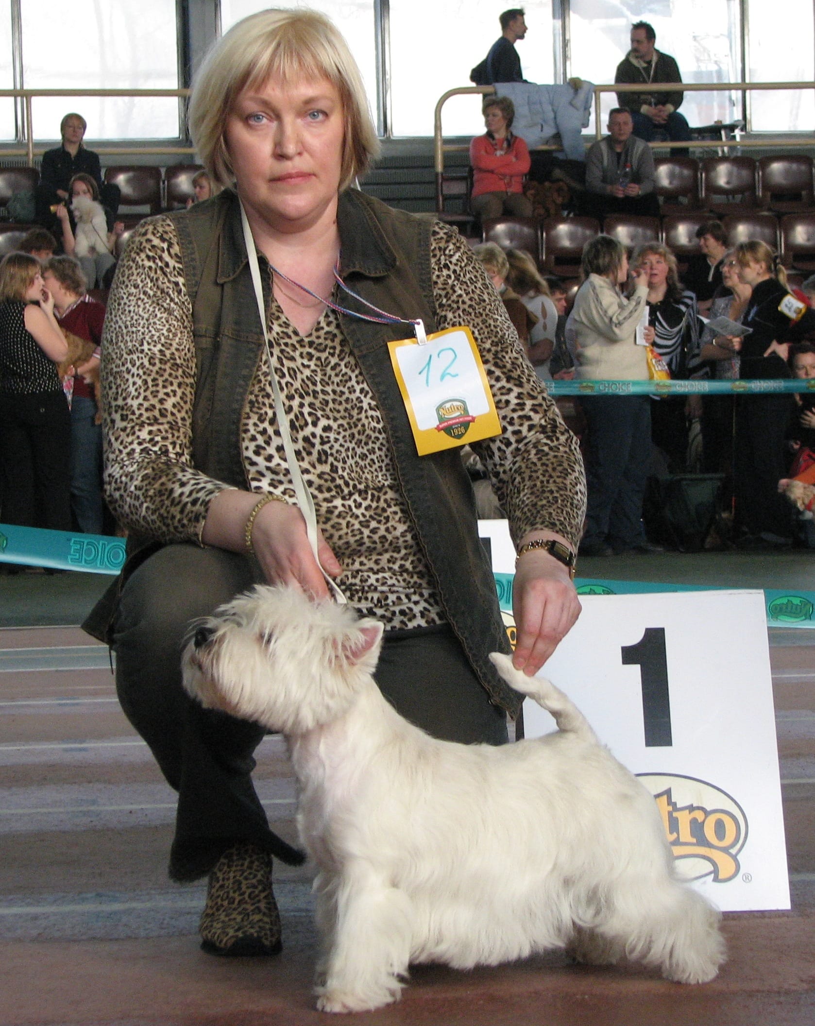 dogshow_7.jpeg